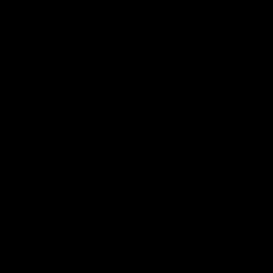 Meet your Posher, Deanna